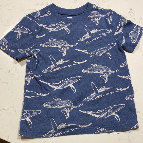 Bundle of boys 3t t-shirts - Picture 6 of 7